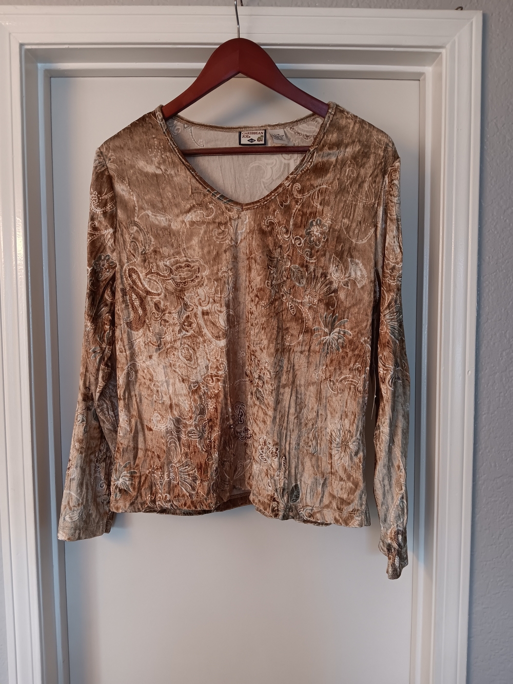 Caribbean Joe Tan Velvet Floral Burnout Long Sleeve V-Neck Top